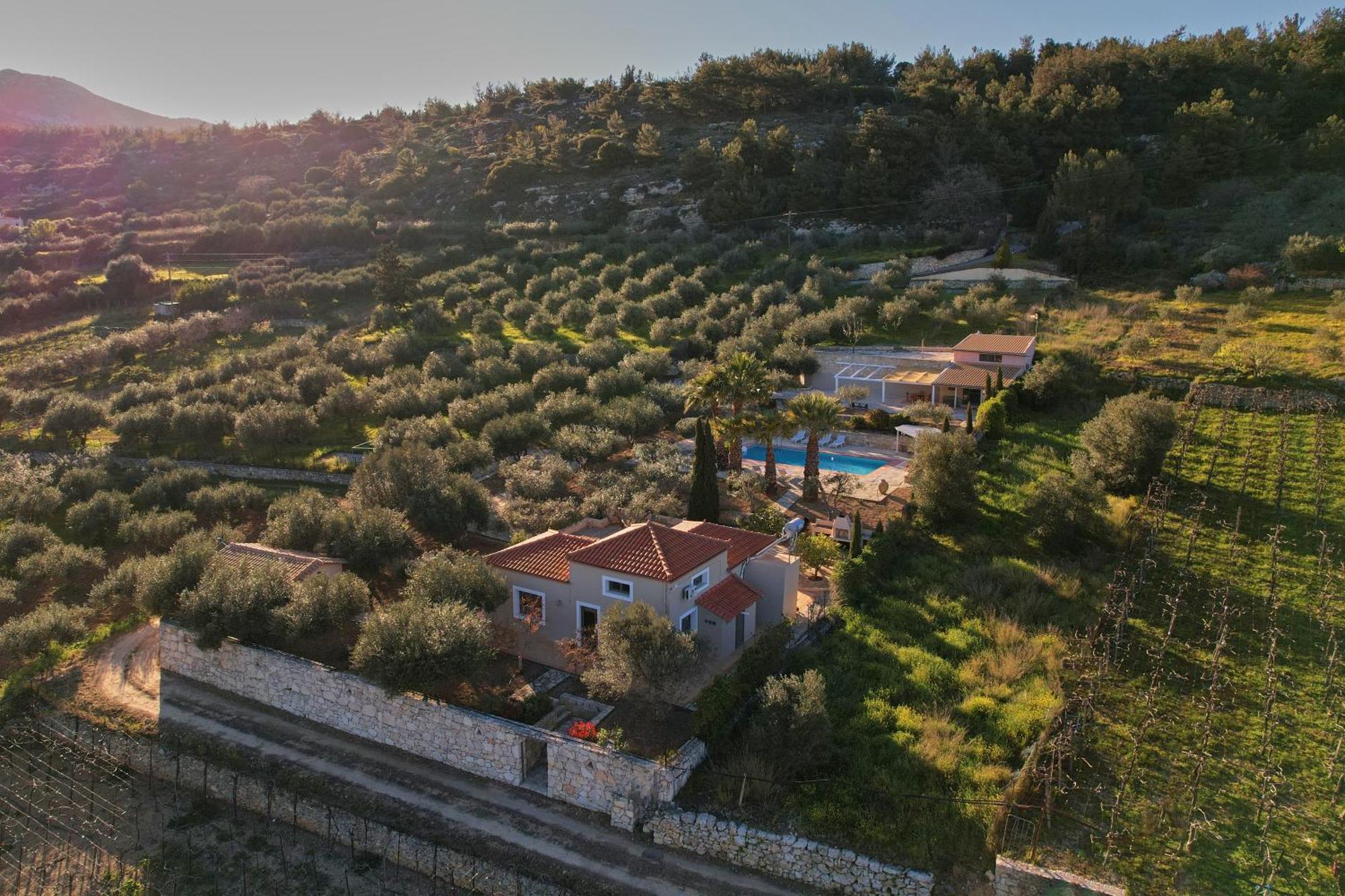 The Olive Grove Villas With Swimming Pool And Breakfast Archanes Eksteriør billede